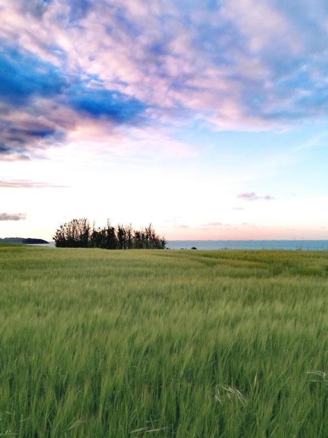 Le Ti'Nid - Gite De Charme - Vue Mer Langueux Exteriér fotografie