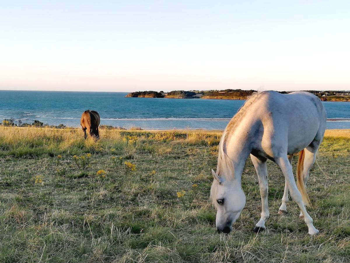 Le Ti'Nid - Gite De Charme - Vue Mer Langueux Exteriér fotografie